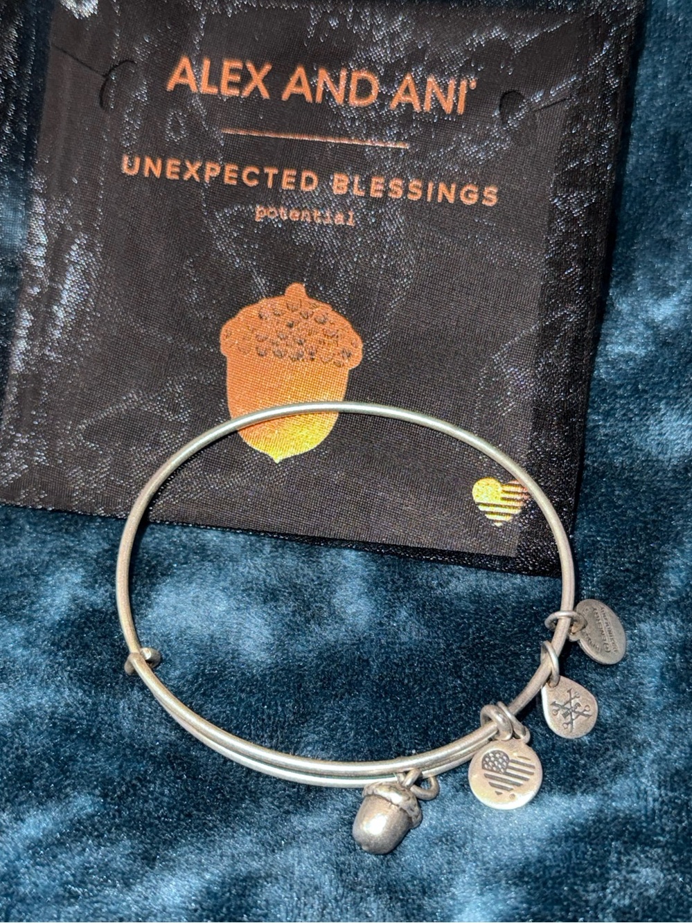 Alex and Ani Silver Acorn Adjustable “Unexpected Blessings”Bracelet NWT First Ed